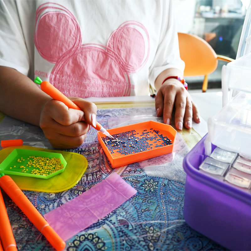 Diamond Embroidery Tools Carro - Craft Embellishment Storage 评论和价格