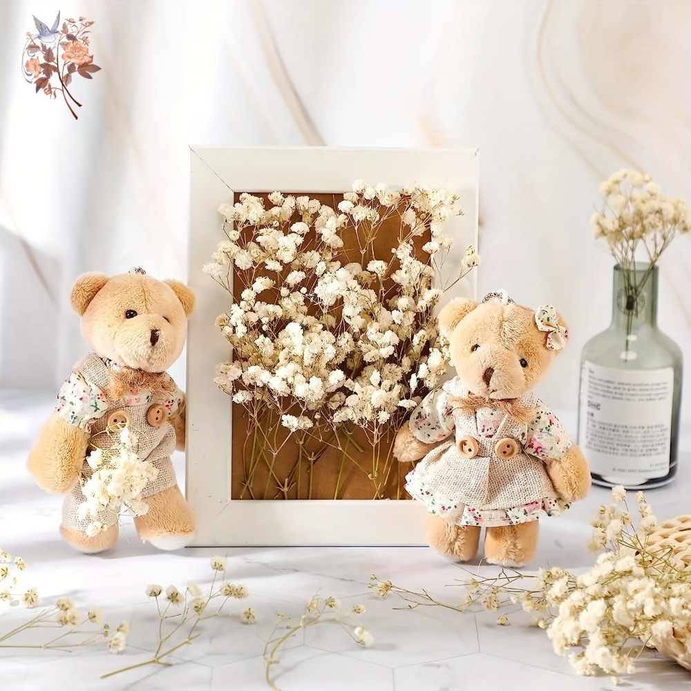 100pcs Mini Dried Baby's Breat - Craft Embellishments 评论和价格